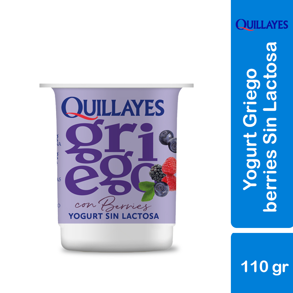 YOGURT GRIEGO SIN LACTOSA CON BERRIES 110 g