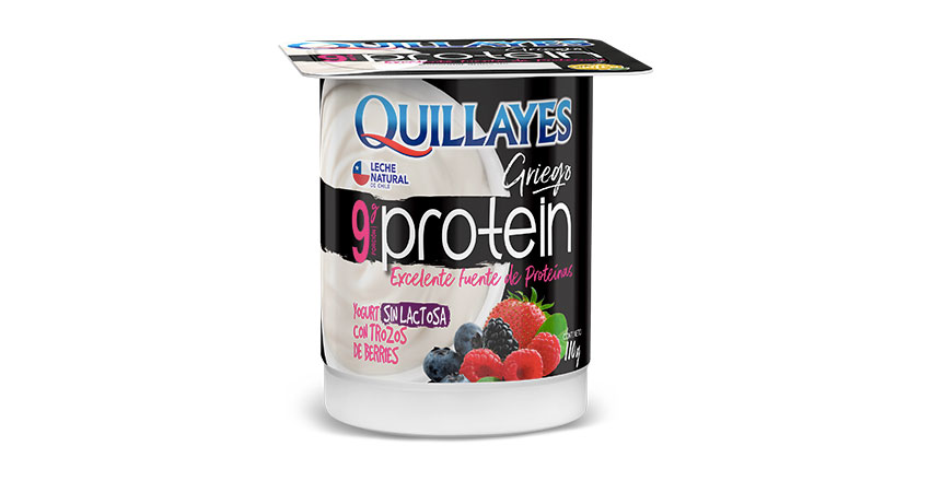 YOGURT GRIEGO PROTEIN BERRIES 110 g