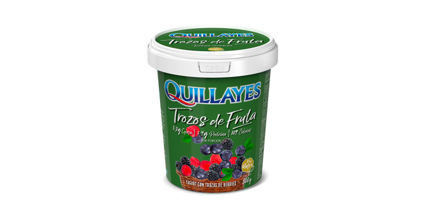 YOGURT TROZOS BERRIES 800 g