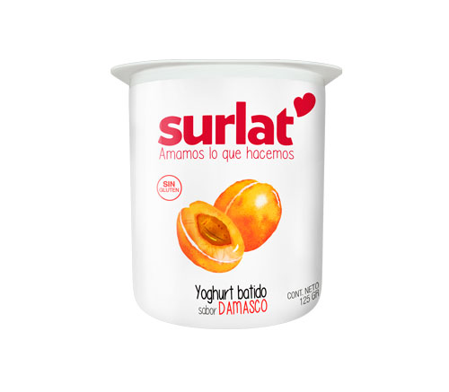 YOGURT BATIDO DAMASCO SURLAT 110 g